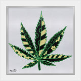 MEDICINAL SILVER - Limited Edition Print