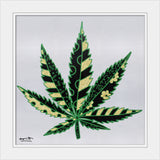 MEDICINAL SILVER - Limited Edition Print