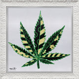 MEDICINAL SILVER - Limited Edition Print