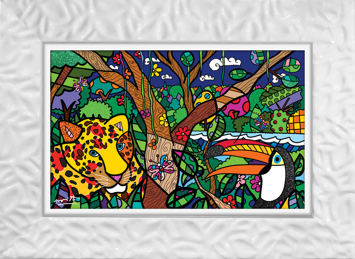 brazilian amazon limited edition print  artistic colorful design collectible