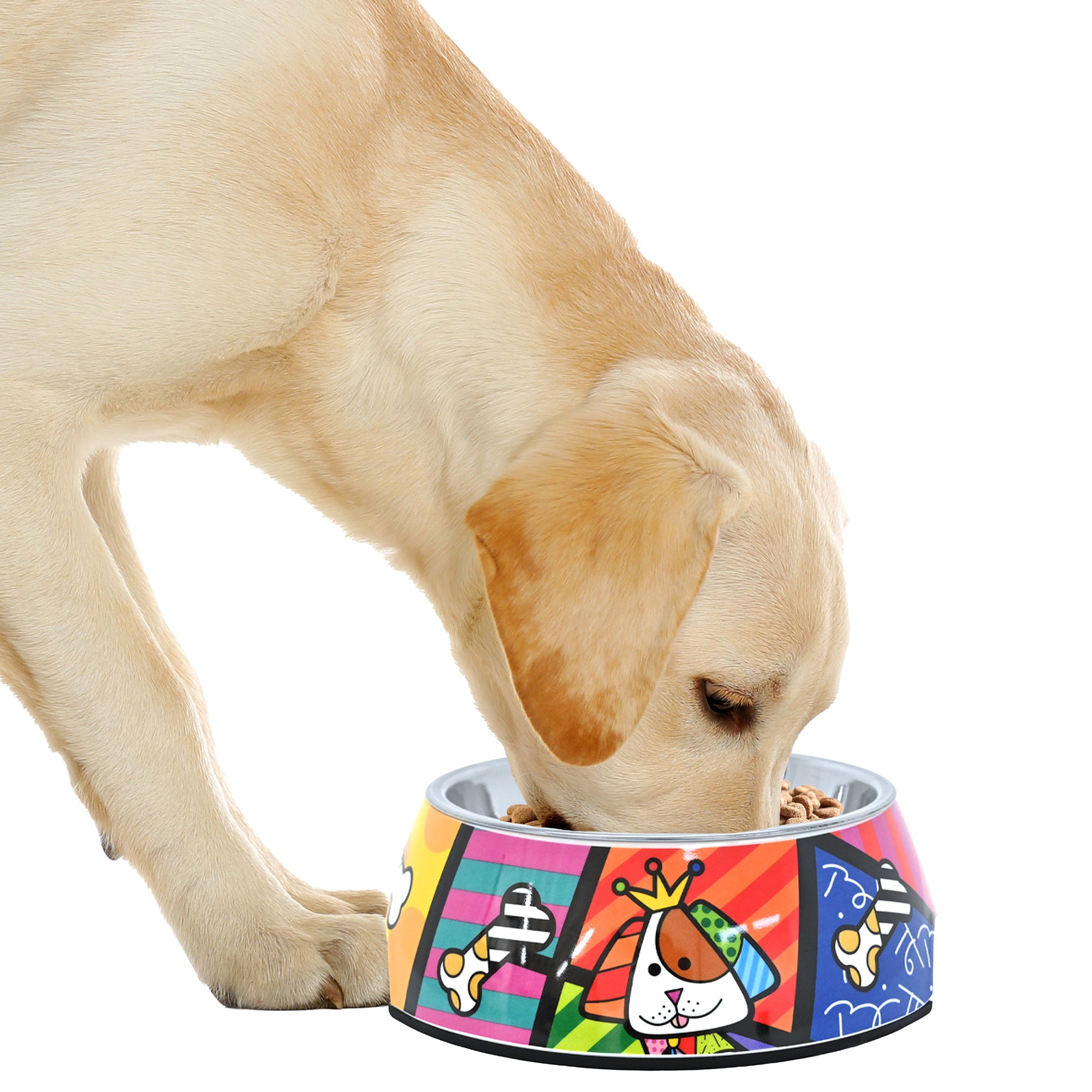 Pet Bowls - Shop Britto