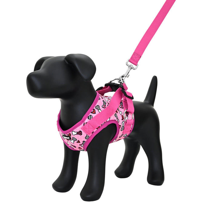 Small dog harness and sales leash