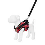 BRITTO® PET Small Dog Harness and Leash  - Red Bones and Hearts