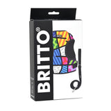 BRITTO® PET Small Dog Harness and Leash  - Colorful Landscape