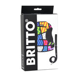 BRITTO® PET Harness and Leash - Colorful Landscape