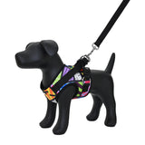 BRITTO® PET Small Dog Harness and Leash  - Colorful Landscape