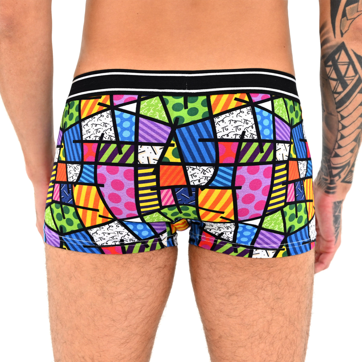 modern pop art britto boxer briefs colorful landscape  vibrant home decor