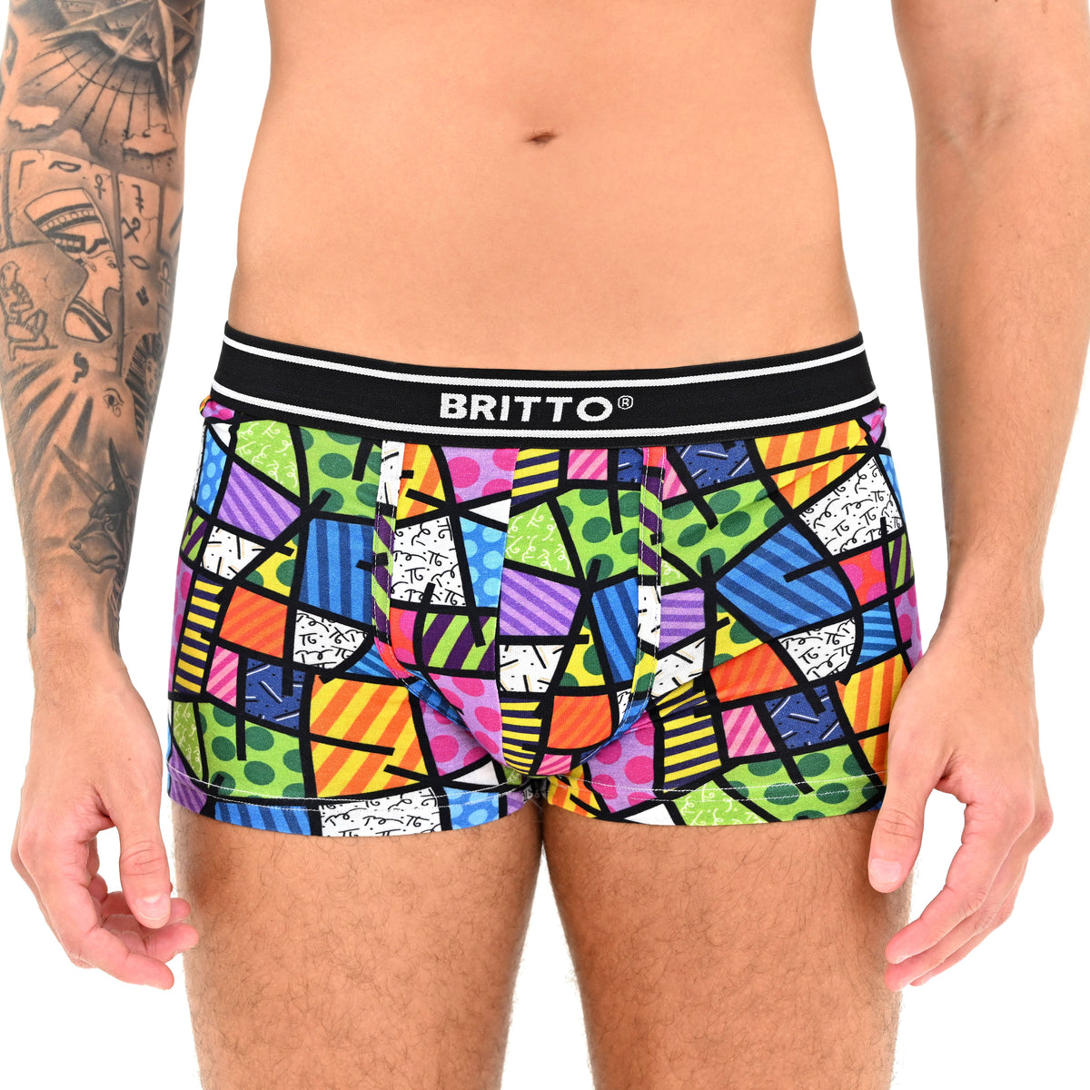britto boxer briefs colorful landscape  colorful decorative collectible gift idea