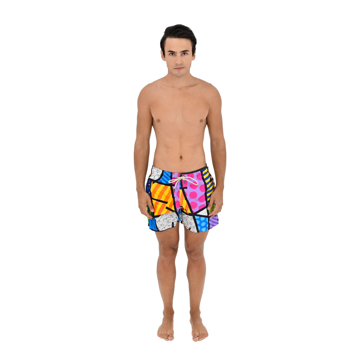 Limited Edition - BRITTO®  Shorts - COLORFUL LANDSCAPE - MEN