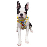 BRITTO® PET Small Dog Harness and Leash - Hearts