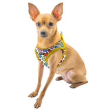 BRITTO® PET Small Dog Harness and Leash - Hearts