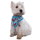BRITTO® PET Small Dog Harness and Leash - Flying Hearts