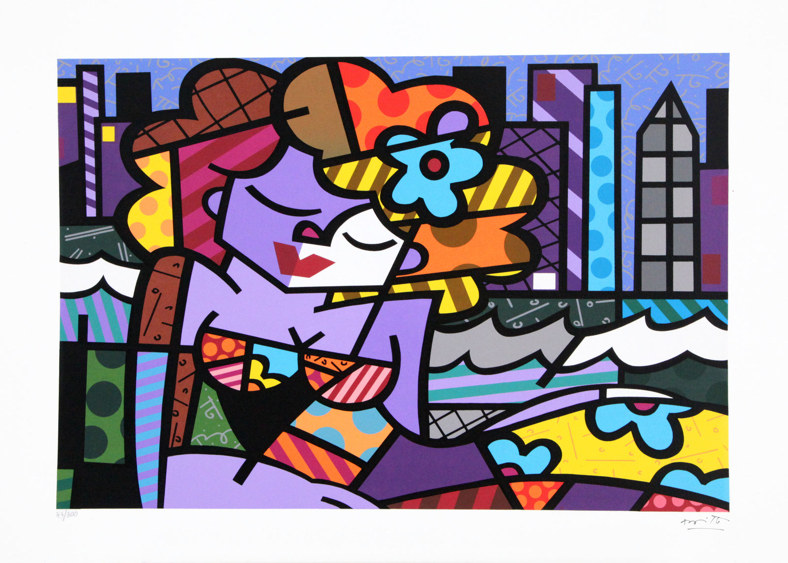 portfolio of serigraphs brazil collection  artistic colorful design collectible