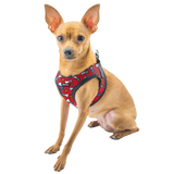 BRITTO® PET Small Dog Harness and Leash  - Red Bones and Hearts